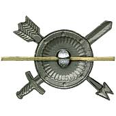 Эмблема ( знак ) петличная ( петлица ) РВСН защитная (2102076) - ВОЕНТОРГ ТЫЛОВИК