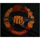 Флаг Спецназ ВВ МВД России / Кулак с автоматом 90х135 (4701994) - ВОЕНТОРГ ТЫЛОВИК
