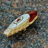 Знак нагрудный Военное училище пожарно-интендантское СССР закрутка (2301926) - ВОЕНТОРГ ТЫЛОВИК