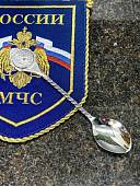 Ложка чайная с символикой МЧС России (4604025) - ВОЕНТОРГ ТЫЛОВИК