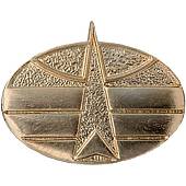 Эмблема ( знак ) петличная ( петлица ) Космических войск золотистая (2102089) - ВОЕНТОРГ ТЫЛОВИК