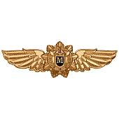 Знак нагрудный Классность офицерского состава ФСО России МАСТЕР закрутка (2301295) - ВОЕНТОРГ ТЫЛОВИК