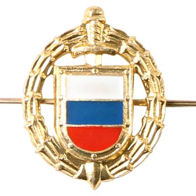Эмблема ( знак ) петличная ( петлица ) ФСО России золотистая (2102121) - HAKKI.RU