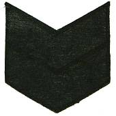 Знак - годичка ( нашивка шеврон ) нарукавный за выслугу лет ( по годам службы ) 10 лет вышитый (2508035) - ВОЕНТОРГ ТЫЛОВИК