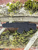 Нашивка ( шеврон патч patch ) тактическая АК-12 3D PVC на липучке 8х3 (2504411) - ВОЕНТОРГ ТЫЛОВИК