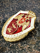 Знак нагрудный ФСВНГ ( Росгвардия ) РФ ОТЛИЧНИК СЛУЖБЫ в финансово-экономических подразделениях (2301643) - ВОЕНТОРГ ТЫЛОВИК