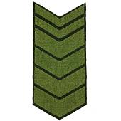 Знак - годичка ( нашивка шеврон ) нарукавный за выслугу лет ( по годам службы ) 22 года полевой вышитый (2508097) - ВОЕНТОРГ ТЫЛОВИК