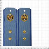 Погоны ФСБ повседневные на рубашку Прапорщик с эмблемой машинная вышивка пластик (2211998) - ВОЕНТОРГ ТЫЛОВИК