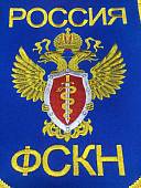 Вымпел большой с вышивкой ФСКН России 25х32 см васильковый (4504026) - ВОЕНТОРГ ТЫЛОВИК