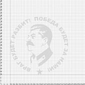 Наклейка на авто виниловая И.В. Сталин / Враг будет разбит! Победа будет за нами! 20х20 белая (12011021) - ВОЕНТОРГ ТЫЛОВИК