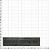 Нашивка ( шеврон патч patch ) тактическая RUSSIAN FEDERATION 3D PVC ( пластизоль ) на липучке 13х3 защитная (2504122) - ВОЕНТОРГ ТЫЛОВИК