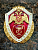 Знак нагрудный ФСВНГ ( Росгвардия ) РФ ОТЛИЧНИК СЛУЖБЫ в медицинских воинских частях (2301642) - HAKKI