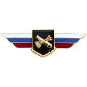 Знак должностной Командира полка и ему равной воинской части войсковой противовоздушной обороны закрутка (2309035) - ВОЕНТОРГ ТЫЛОВИК