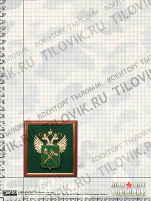 Эмблема с символикой ФТС 40х42 см (4406083) - HAKKI.RU