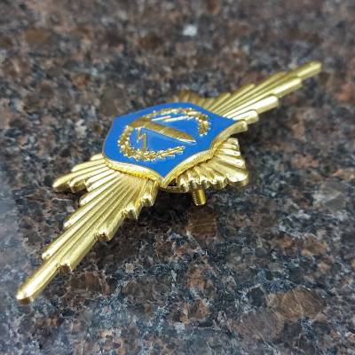 Знак нагрудный Рота почетного караула РВСН закрутка (2301056) - HAKKI.RU