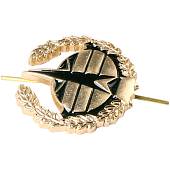Эмблема ( знак ) петличная ( петлица ) Космические войска (неуставная) золотая (2102114) - ВОЕНТОРГ ТЫЛОВИК