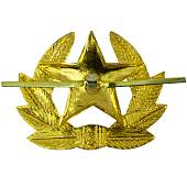 Кокарда солдатская Звезда СССР в обрамлении золотистая (2105200) - ВОЕНТОРГ ТЫЛОВИК
