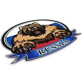 Наклейка на авто виниловая RUSSIA / медведь 14х10,5 (12015014) - ВОЕНТОРГ ТЫЛОВИК