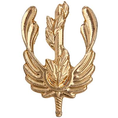 Эмблема ( знак ) петличная ( петлица ) Экологическая служба золотая (2102002) - HAKKI.RU