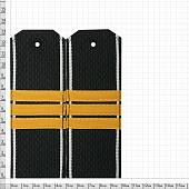 Погоны ВМФ повседневные на куртку ( китель ) Старшина 1 статьи белый кант галун пластик (2204987) - ВОЕНТОРГ ТЫЛОВИК