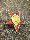Знак Мини орден Красной звезды СССР / Пролетарии всех стран, соединяйтесь! закрутка (2305031) - ВОЕНТОРГ ТЫЛОВИК