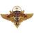 Жетон ( знак ) ВДВ 39 мм без крепления золотистый (2306019) - HAKKI