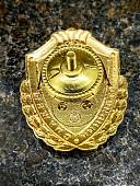 Знак нагрудный ФСВНГ ( Росгвардия ) РФ ОТЛИЧНИК СЛУЖБЫ В ОРГАНАХ УПРАВЛЕНИЯ (2301624) - ВОЕНТОРГ ТЫЛОВИК