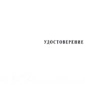 Медаль Заслуженному хоккейному болельщику / Александр Мальцев (2401888) - ВОЕНТОРГ ТЫЛОВИК