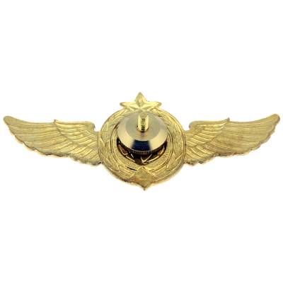 Знак нагрудный Классность ВКС 1 класс закрутка (2301184) - HAKKI.RU