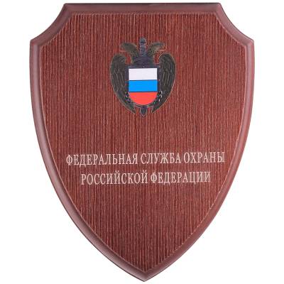 Плакетка с символикой ФСО 250х200 (4406076) - HAKKI.RU