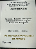 Медаль ФСВНГ ( Росгвардия ) РФ - ЗА ПРОЯВЛЕННУЮ ДОБЛЕСТЬ 3 степени (2401409) - ВОЕНТОРГ ТЫЛОВИК