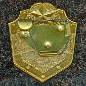 Знак ( жетон ) нагрудный ПАТРУЛЬ (2304985) - ВОЕНТОРГ ТЫЛОВИК