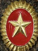 Кокарда ЗВЕЗДА в овале (2105054) - ВОЕНТОРГ ТЫЛОВИК