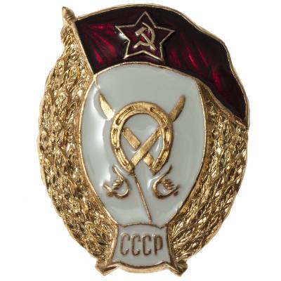 Знак нагрудный Военное кавалерийское училище СССР закрутка (2301938) - HAKKI.RU