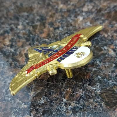 Знак нагрудный Классность ВДВ 1 класс закрутка (2301192) - HAKKI.RU