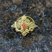 Знак фрачный Министерство обороны ( ВС РФ ) 13х17 мм малый золотистый (2302083) - ВОЕНТОРГ ТЫЛОВИК