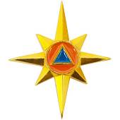 Эмблема ( знак ) петличная ( петлица ) МЧС России золотистая (2102170) - ВОЕНТОРГ ТЫЛОВИК