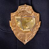 Знак ( жетон ) нагрудный ПОМОЩНИК ДЕЖУРНОГО ПО МТО (2304030) - ВОЕНТОРГ ТЫЛОВИК