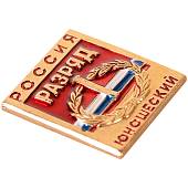 Знак нагрудный I юношеский разряд (2303020) - ВОЕНТОРГ ТЫЛОВИК