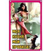 Табличка ( знак ) предупреждающая домовая Моя кухня - мои правила 30х19,5 см (4315015) - ВОЕНТОРГ ТЫЛОВИК