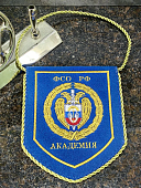 Вымпел АКАДЕМИЯ ФСО РОССИИ вышитый 13х16 васильковый (4502091) - ВОЕНТОРГ ТЫЛОВИК