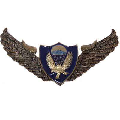 Знак нагрудный Спецназ крылья ВДВ орел закрутка (2301234) - HAKKI.RU