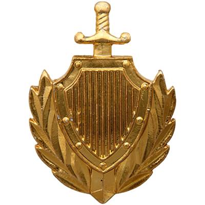 Эмблема ( знак ) петличная ( петлица ) МВД России золотистая (2102099) - HAKKI.RU