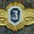 Знак нагрудный Классность рядового состава 3 класс булавка (2301999) - HAKKI.RU