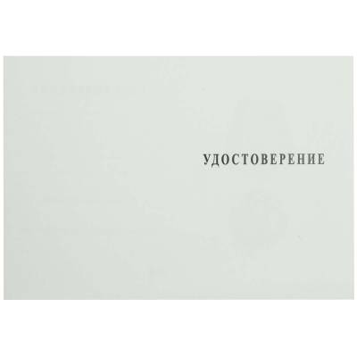 Медаль Защитник границ Отечества / Ветеран ( 2401907) - HAKKI.RU