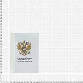 Книга Устав Военной полиции Вооруженных Сил РФ (4317012) - ВОЕНТОРГ ТЫЛОВИК