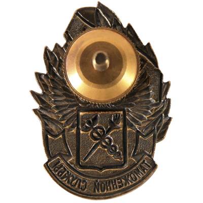Знак нагрудный Ветеран Таможенной службы (2301083) - HAKKI.RU