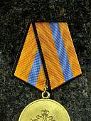 Медаль МО РФ -  Участнику борьбы со стихией на Амуре (2401280) - ВОЕНТОРГ ТЫЛОВИК