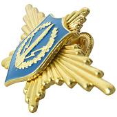 Знак нагрудный Рота почетного караула РВСН закрутка (2301056) - ВОЕНТОРГ ТЫЛОВИК