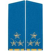 Погоны ВДВ / ВКС парадные на китель Полковник скос р/в галун (2203020) - ВОЕНТОРГ ТЫЛОВИК